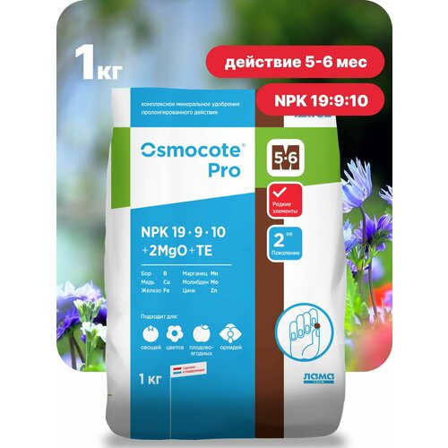       , Osmocote Pro 5-6 , 1   -     , -  