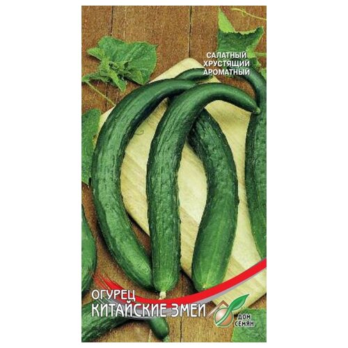 ���� ������ ��������� ����, 8 �����