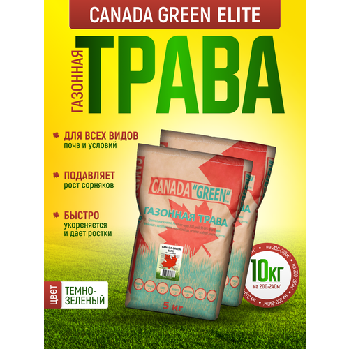       10 /    10/ Canada Green Elite 10/   , ,   -     , -  