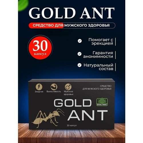     Gold Ant ,  ,    30   -     , -  