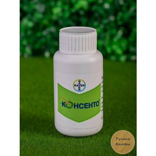 ���� �������� �������� 100 ��