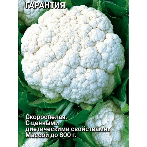 ���� ������ ������� ������� ��������