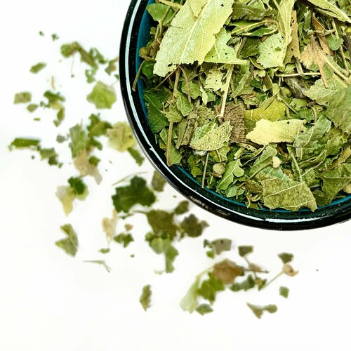 ���� ���� 100 �� - ������ � ������ ������� 5-7 ��, �������� ���, �������, ��������, ����� ����� (�������, ���������, ������)