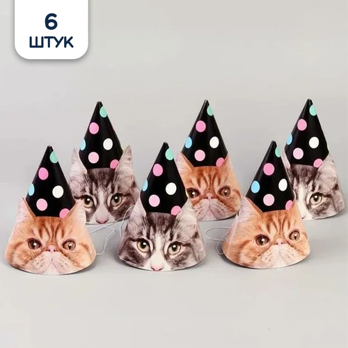 ���� ������ ������ ������������� 6��/G