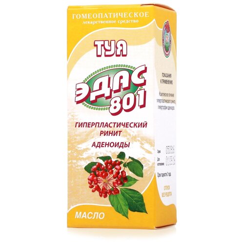 ���� ��� ����-801 ����� ���������������, 15 ��