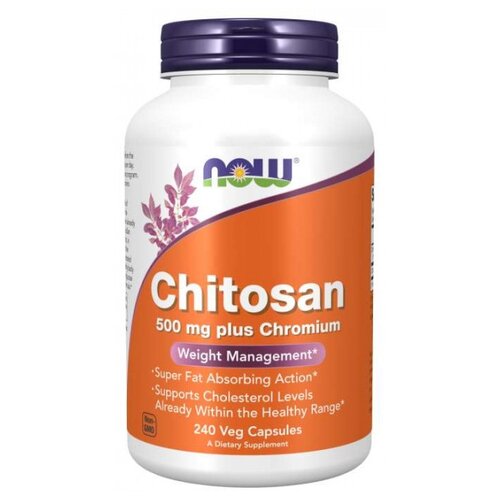   Chitosan ., 500 , 230 , 240 .  -     , -  