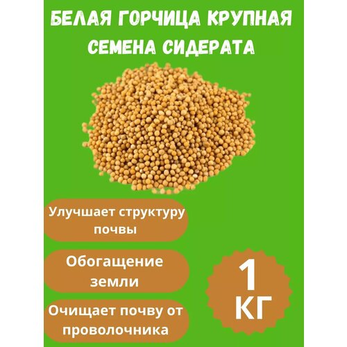 ���� ������ ������� ������� 1 ��