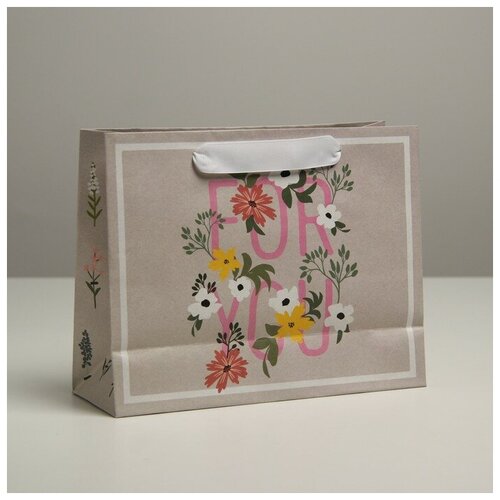 ���� ������ ������� ����� ��������� ���������� ���� �����, 22 x 17,5 x 8 ��