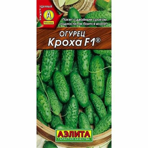 ���� ������ ������ ����� F1 (������) 10��