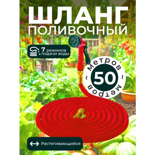 ���� ����� ������� ���������� ���������������