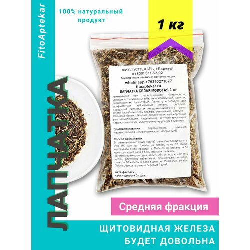 ���� �������� ����� 