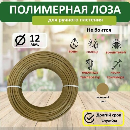 ���� ���������� ���� � �����, ������� 12��, 10�, ��������