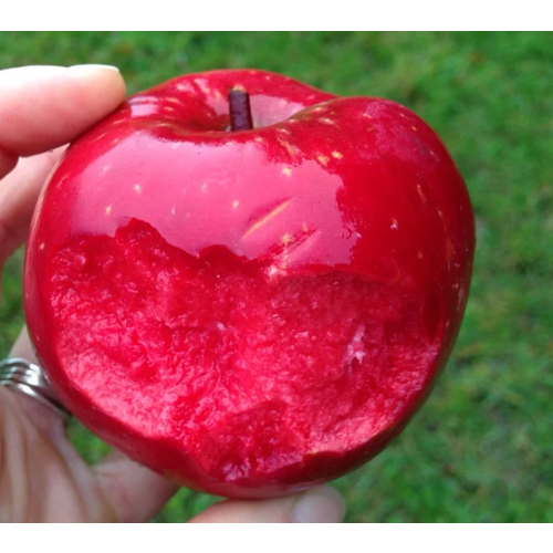 ���� ������� ������ ����������� ��� ���� ( 2 ���� , �3,5 , 50-75 �� )