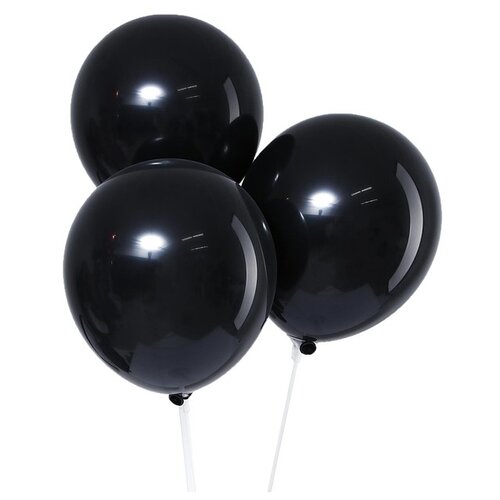 ���� ����� ��������� ����� Leti �������, 12