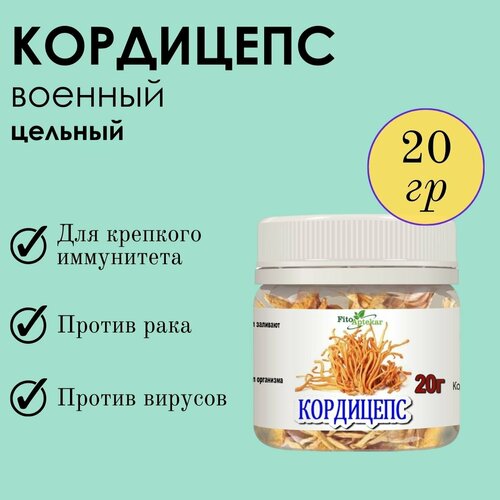 ���� ��������� 