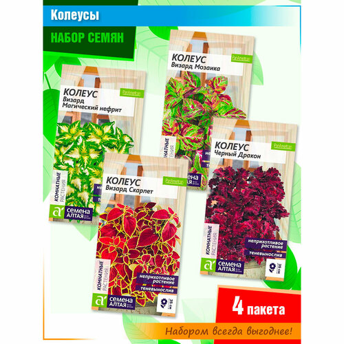 ���� ����� ����� ������� ����� 