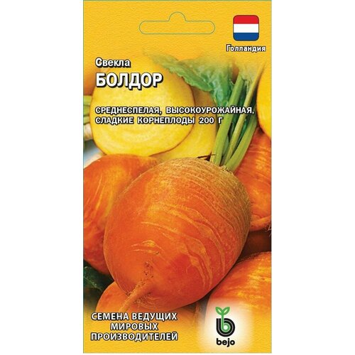 ���� ������ ������ ������ 1� (���������) �19