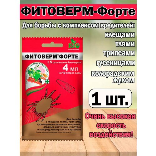 ���� �������� ��������-����� 4 ��, �� ���������-����������, 1 ��