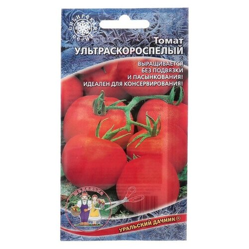 ���� ������ ����� 