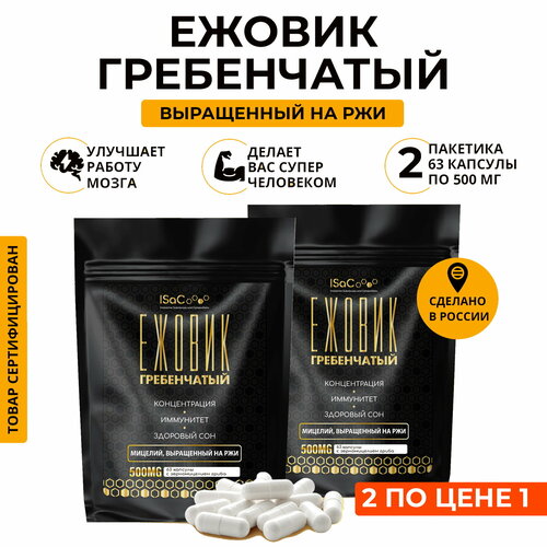 ���� ������ ����������� ������� �� ���. ����� 1+1