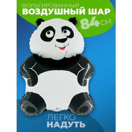 ���� ��� ����� ���� �� ���������