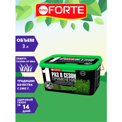   Bona Forte       3   -     , -  