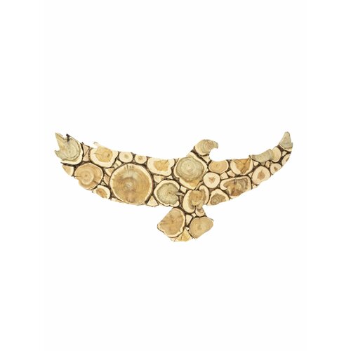 ���� ����� 