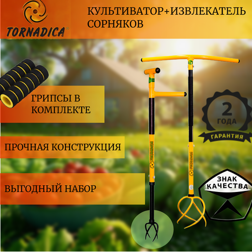 ���� �������� ��������� (Tornadica) ����������� � �������� � ����������� ��������
