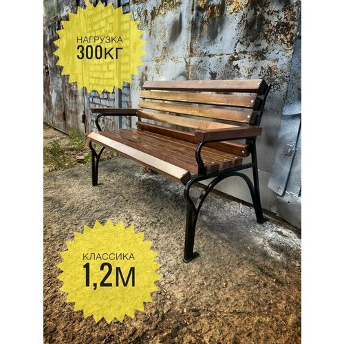 ���� ������� �������� 