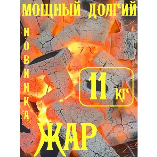 ���� ����� � �������� 11 ��, ������.