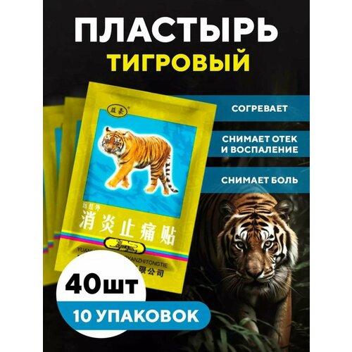 ���� �������� �������� 40 ��