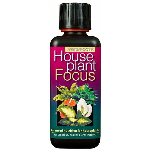      Houseplant Focus  300