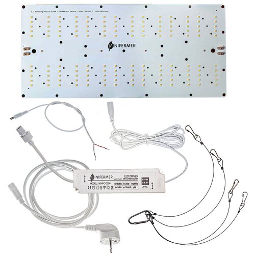      ,   / 1.20 Ultra  Quantum board 60   /    /   -     , -,   