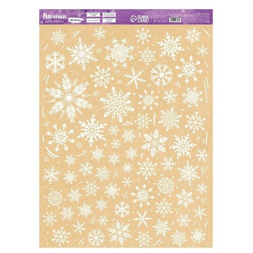 ���� ��� ���� �������� ��� ���� 