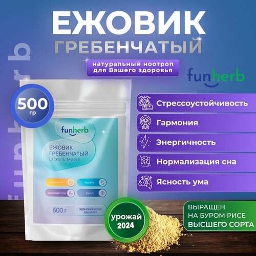 ���� ������ ����������� �������� ���, ������� ������, ���������