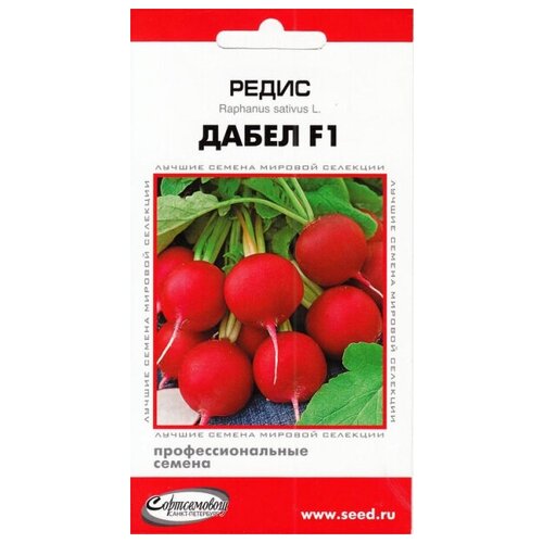 ���� ����� ����� F1, 50 �����