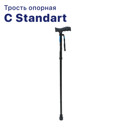   C Standart      -   ()  ,      -     , -  