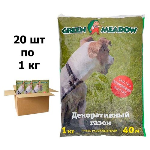    GREEN MEADOW   20   1 