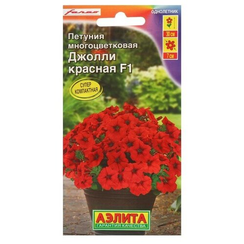 ���� ������ ������ 