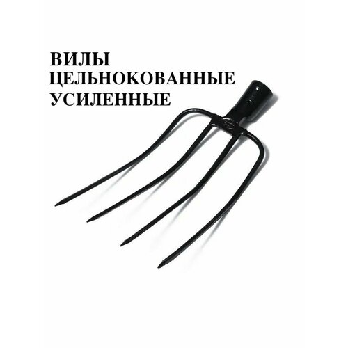 ���� ���� Garden