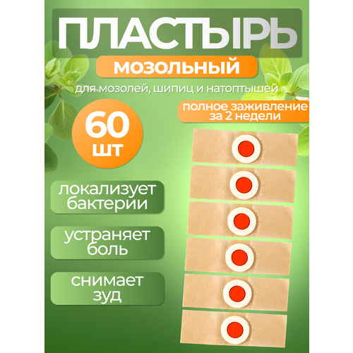 ���� �������� ��������� �������� ��������� ��� ������������ �������, ���������� � ��������� �� ����� - 60 ����