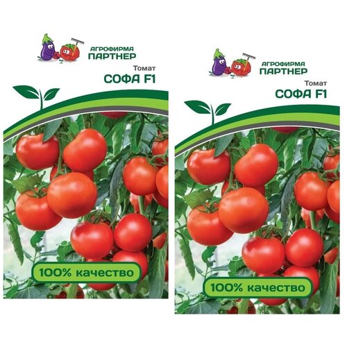 ���� ������ ����� ���� F1 /��������� �������/ 2 �������� �� 0,05 � �����