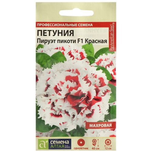 ���� ������ ������ ������� 