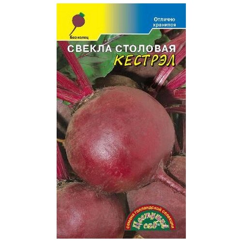 ���� ������ ������ ������� F1 25�� �������� (�������� ���)