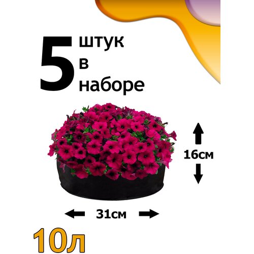 ���� ������ ���� 10� - 5��