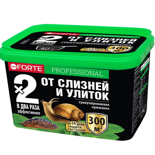 ���� �������� ��� ������ �� ������� � ������ Bona Forte ������� 300 ��