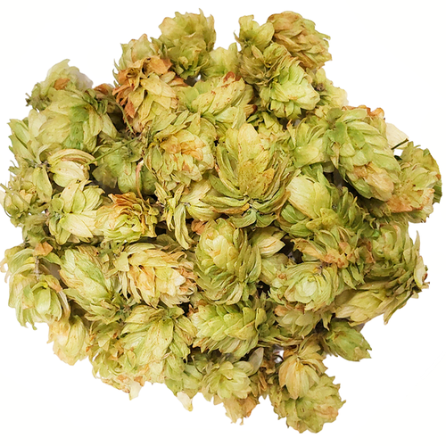 ���� ����� �����, ������������� ����� 10�.