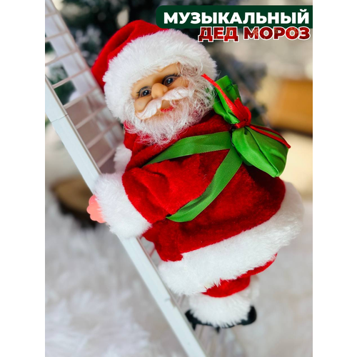 ���� ���������� �������, 