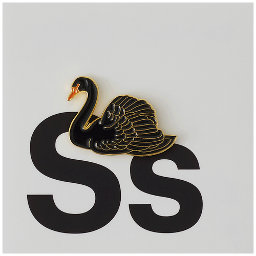 ���� ������ PinPinPin ������ ������