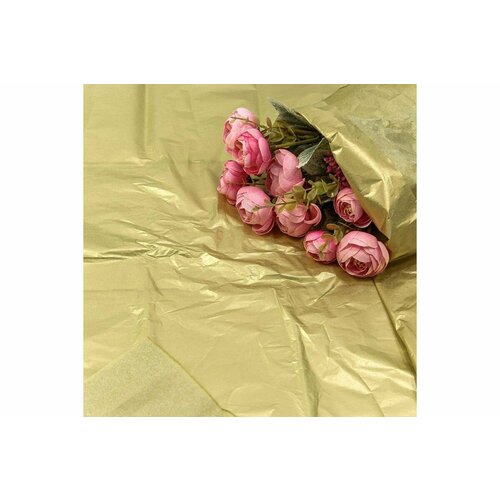 ���� ����������� ������, ����� (0,5*0,65 �) ������, 10 ��.